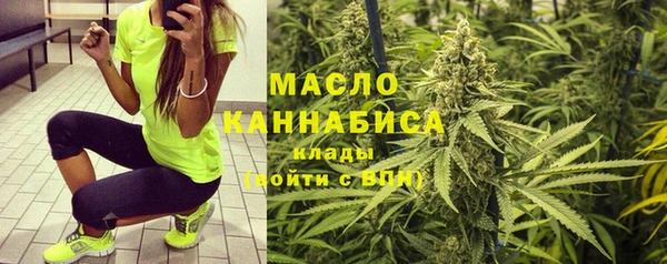 шишки Арсеньев