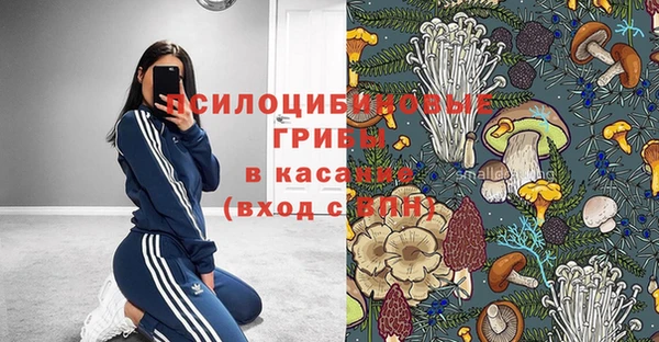 mdpv Осинники