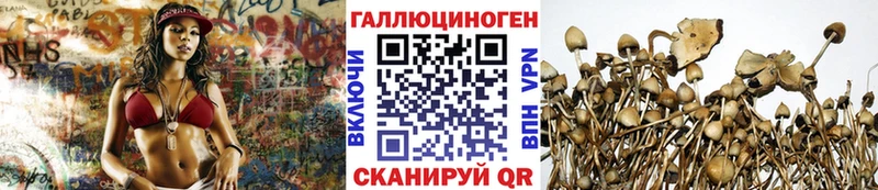 что такое наркотик  Шарыпово  Псилоцибиновые грибы Magic Shrooms 