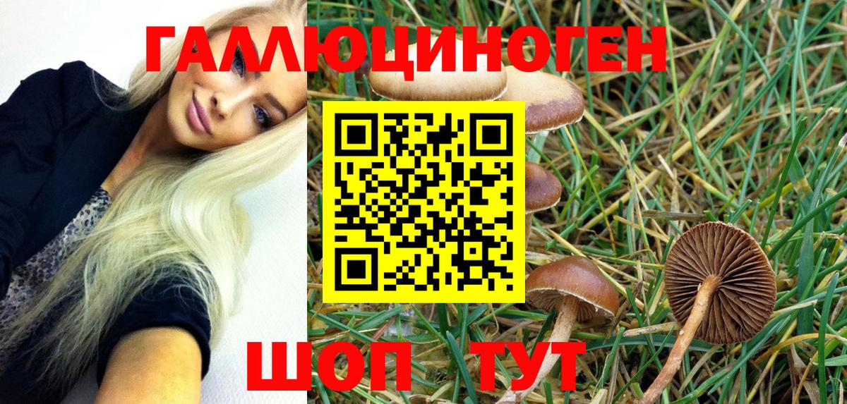 Псилоцибиновые грибы мухоморы  Шарыпово  Галлюциногенные грибы GOLDEN TEACHER 