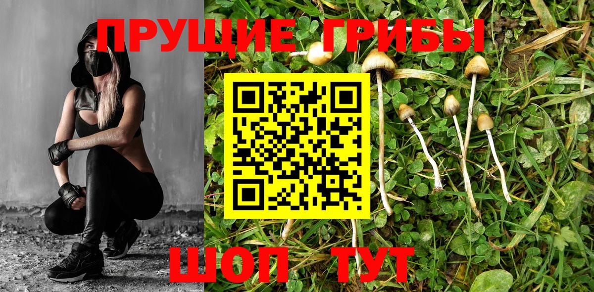 Галлюциногенные грибы ЛСД Шарыпово